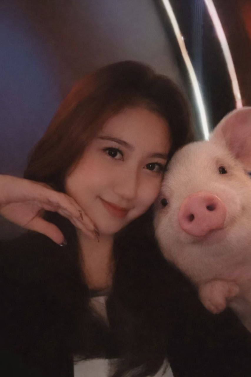 OYO88 > Tempat Belajar Tata Cara Bermain Game Online Mudah Menang gioboutiqueweb